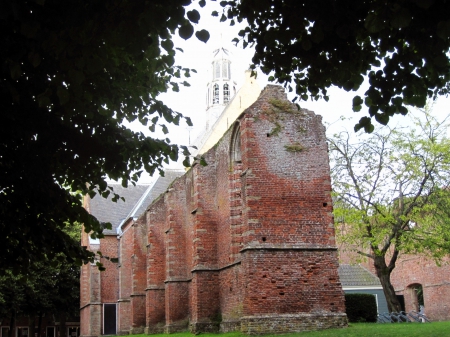 Ruinekerk Bergen - ancient, trees, church, architecture, medieval