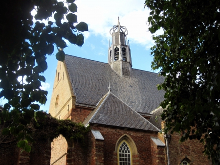 Ruinekerk Bergen - trees, ancient, church, architecture, medieval