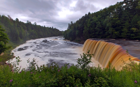 Tahquamenon Falls, Michigan - River, Nature, Waterfall, USA