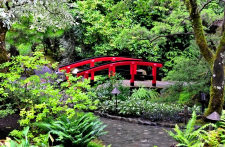 Small forest bridge - greenery, pretty, trees, branches, summer, beautiful, small, forest, lovely, alleys, path, nature, nice, bridge, park, japanese