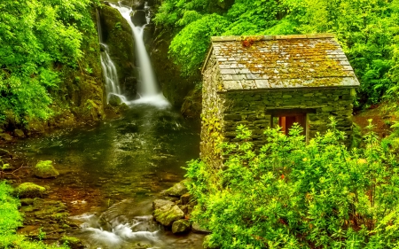 Waterfall - trees, waterfall, photo, river