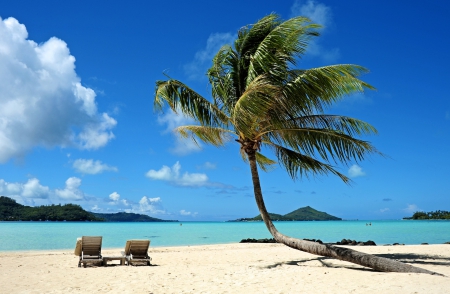 Tahitian Beach - sea, beachchairs, sand, palm