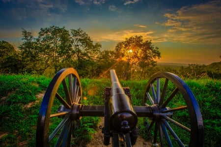 Canon - tree, wheel, canon, ancient