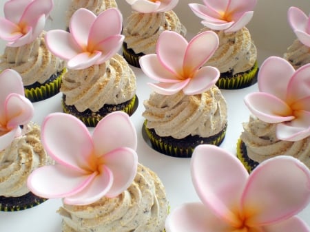 Plumeria Fairy Cakes Yum Yum - tropical, pink, icing, beautiful, flowers, baking, cooking, cakes, frangipani, plumeria, fairy, exotic