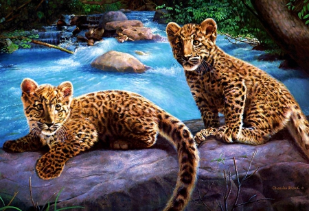 Leopard Cubs - pond, water, stones, predators, artwork, wilderness