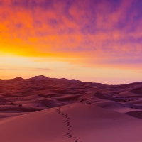 Sahara Desert Sand Dunes