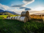 hay bales in a field under sunbeams