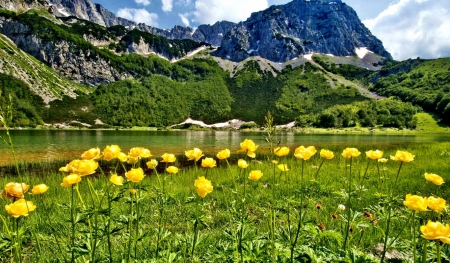 Lake flowers - calm, quiet, yellow, grass, reflection, mountain, flowers, shore, cliffs, lake, nice, emerald, cristal, sky, greenery, beautiful, mirrored, lovely, nature, green, clear, rocks