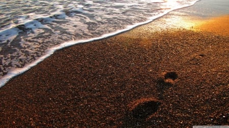 Foot prints on the sand - beaches, ocean, sun, water, summer, wallpaper, coast, waves, hd, nature, foot prints, sea, sand