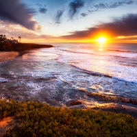 California Sunset