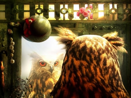 Mirror mirror - art, mirror, owl, fantasy, bird