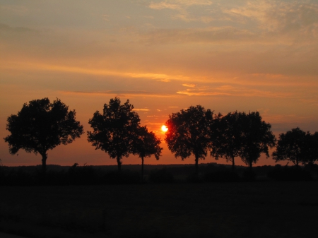 Suns@t - nature, view, sunshine, trees, photography, sun, sunsets, sunset