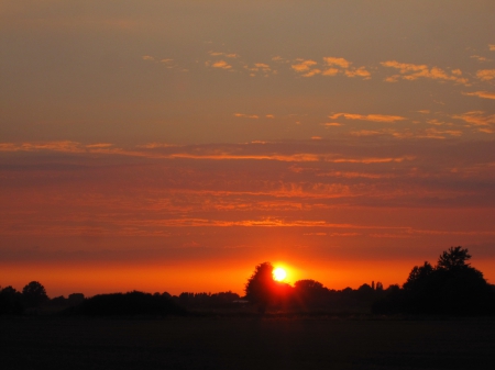 Suns@t - clouds, trees, photography, sunshine, sunset, nature, view, sun, sky