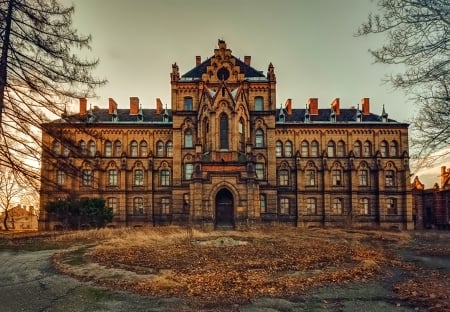 Palace - photo, brown, trees, palace