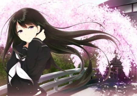 pretty girl - girl, school, hq, hd, pretty, sakura, anime, uniform, tree