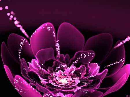 Pink Flower - flowers, fractal, pink, abstract