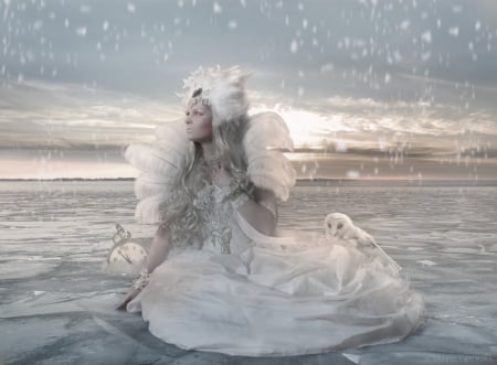 Cold Heart - cold, fantasy, white, lady