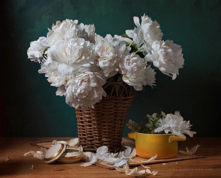 *** WHITE PEONIES - still life *** - flowers, white, nature, flower, peonies