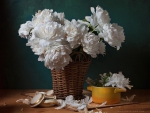 *** WHITE PEONIES - still life ***