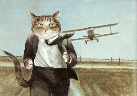 Gotta Run ! - funny cat, aircraft, cat, animal, anime, funny