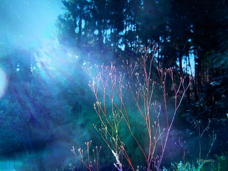 ♥ Blue Summer Morning ♥ - trees, fog, blue, wood, blue sky, morning, forest, magical, dust, fairytale, enchanted, sun, sky