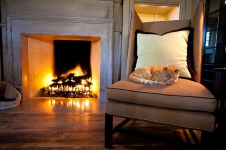 cat by the fireplace - cats, interior, fireplace, animals