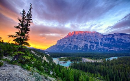 Rundle Mountain at Sunset - nature, valley, trees, canada, mountains