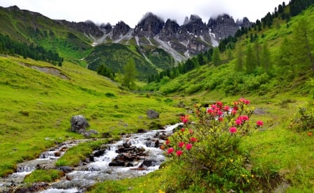 Mountainscape - nice, slope, sky, freshness, water, stream, greenery, creek, mountainscape, river, grass, mountain, hills, lovely, peak, nature, beautiful, flowers