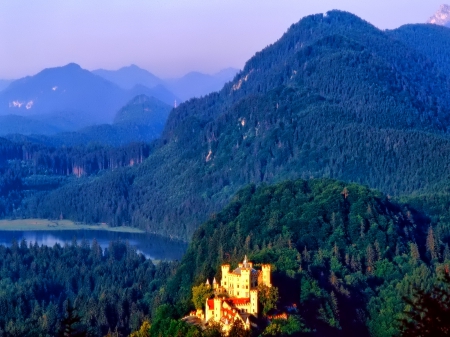 Castle - trees, photo, mountagne, castle