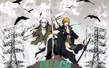 Ichigo VS Hollow Ichigo - anime, birds, ichigo, cool, male, hollow ichigo, animal, anime boys, awesome, bleach, sexy, anime boy