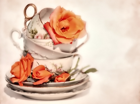 Cups - flowers, cups, rose, orange, photo, cup