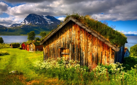 Norwegian traditional houses - summer, roofs, beautiful, village, cottages, hdr, grass, countryside, wooden, cozy, norway, river, nature, mountain, huts, path, pretty, water, flowers, slope, bay, serenity, peaceful, lake, traditional, houses, nice, clouds, lovely, calm