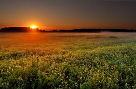 Amazing!! - green, sunset, land, very beautiful