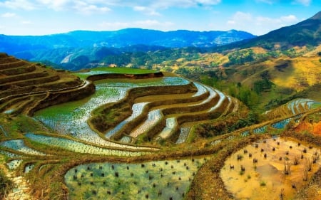 I love this view - garden, sky, mountains, view, nature, hd