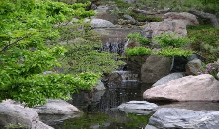 Japanese garden - garden, photography, nature, japanese