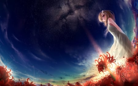 Land - flowers, girl, night, landanime