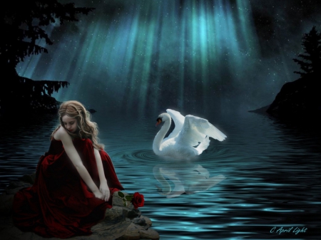 MOMENT OF PEACE - FLOWER, WATER, DRESS, WHITE, SWAN, ROSE, MOONBEAMS, FEMALE, REFLECTION, RED, NIGHT