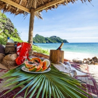 Picnic on the Beach in Fiji