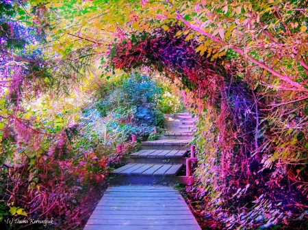 Colours - path, colourful, nature, garden