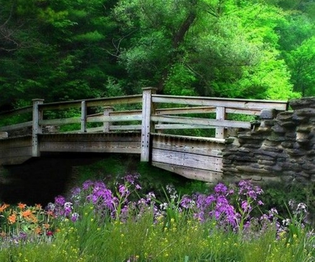 romantic place - forest, flowers, nature, romantic, green