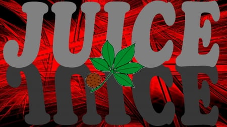 JUICE - BUCKEYES, FOOTBALL, JUICE, STATE, OHIO