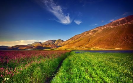 The colors of the sunset - pretty, sundown, grass, meadow, mountain, flowers, fresh, field, nice, sky, clouds, carpet, beautiful, lovely, wildflowers, nature, sunset, rocks