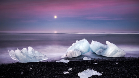 icebergs on a black beach - moon, black, beach, icebergs, sea