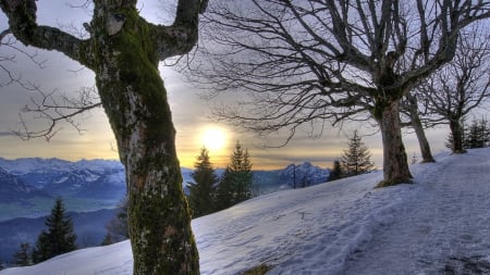 sunset in winter - mountains, winter, haze, trees, sunset