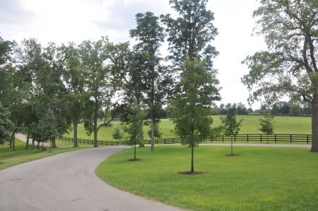 Winding Road on a Horse Farm - quiet, road, peaceful, green