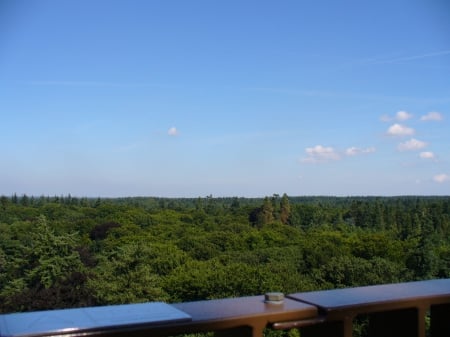 The Forest Tower,view of the Forests - nature, view, forest, trees, tower