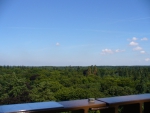 The Forest Tower,view of the Forests