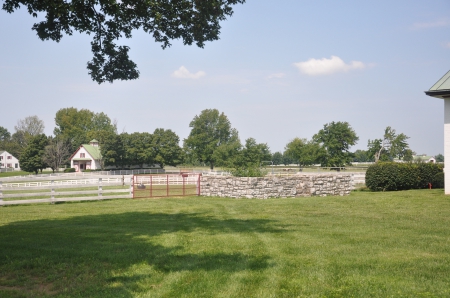 Calumet Farm View - classic, green, farm, history