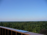 The Forest Tower, view over the Forest