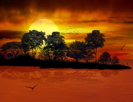 WARM SUNSET - sky, trees, yellow, reflection, water, orange, sunset, birds